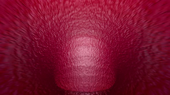 The Vein Inside the Human Body alt