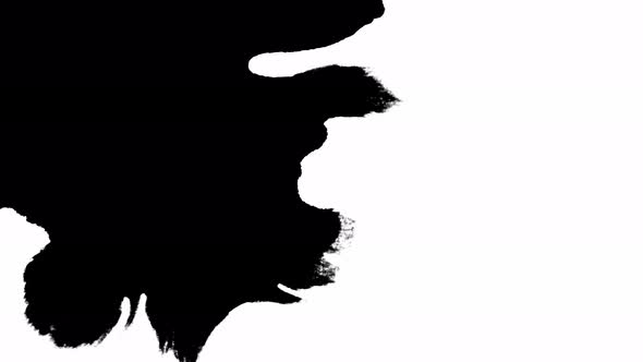 Ink Bloom. Beautiful Black Watercolor Ink Drops Transition on a White Background. alt