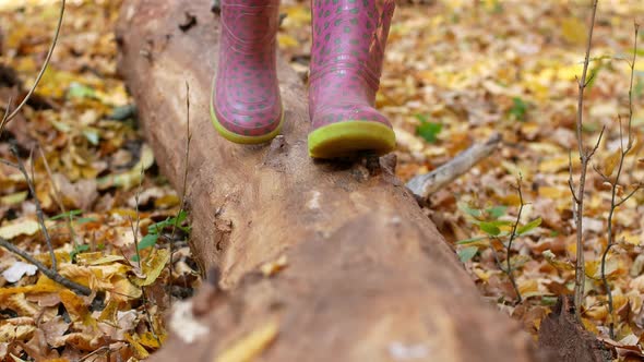 The feet of a child in rubber boots stomp on a log in the forest. Walk in the woods. alt