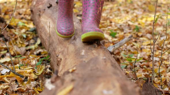 The feet of a child in rubber boots stomp on a log in the forest. Walk in the woods.