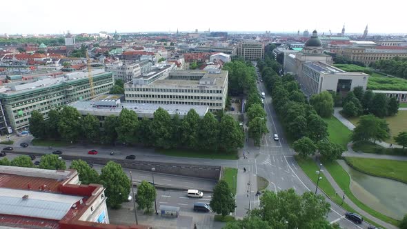 Aerial of trees and buildings along a street
