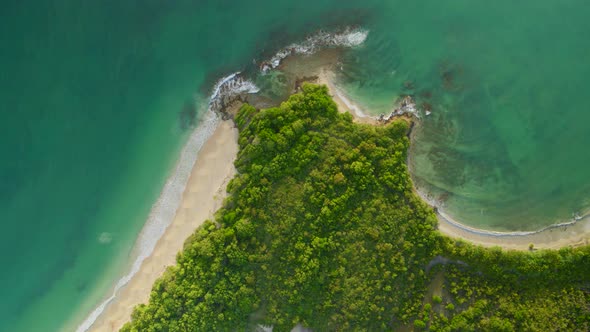 Aerial of trees and beautiful turquoise water on coastline alt