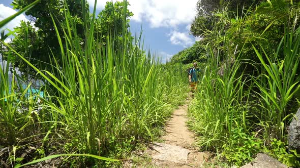 Couple Walking on Tropical Trail alt