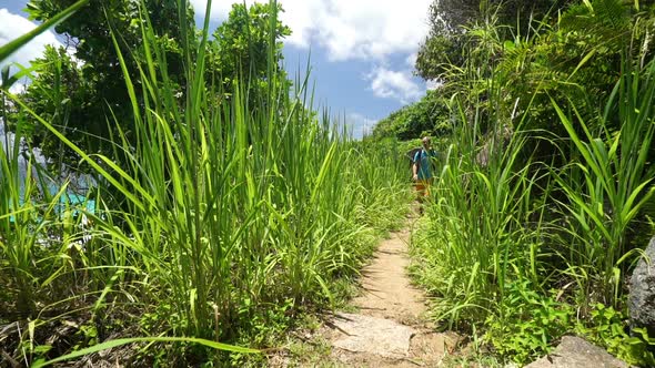 Couple Walking on Tropical Trail