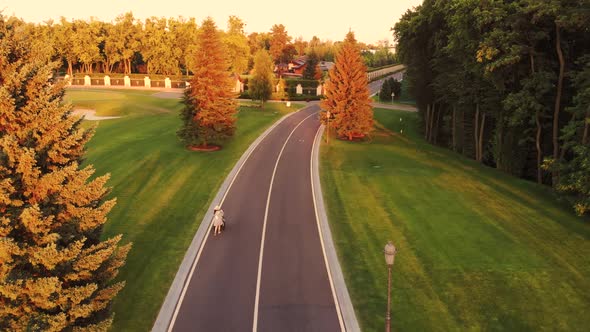 Top View of Mother with Baby Carriage on the Road alt