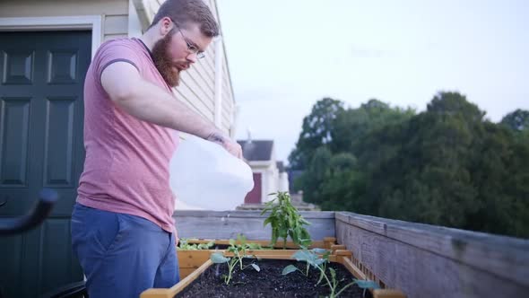 young man watering garden bed alt