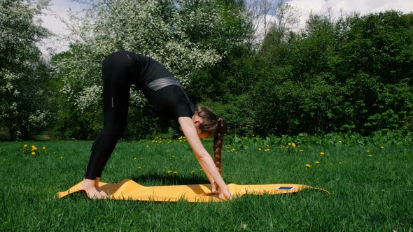 Girl Doing Warmup Dog Muzzle Down Asana on Yoga Mat in Park in Nature in Summer Slow Motion alt