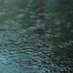 Raindrops drip into a puddle. - VideoHive Item for Sale