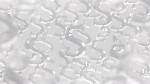 Dollar Signs White Background