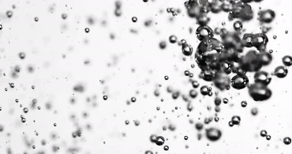 Bubbles Rising In Water Against White Background alt