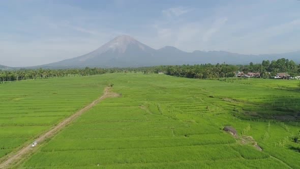 Rice Terraces and Agricultural Land in Indonesia alt