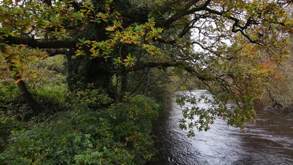 River Liffey In Late Autumn Near Dublin In Ireland. - aerial pullback alt