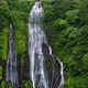 Waterfall In The Jungle - VideoHive Item for Sale