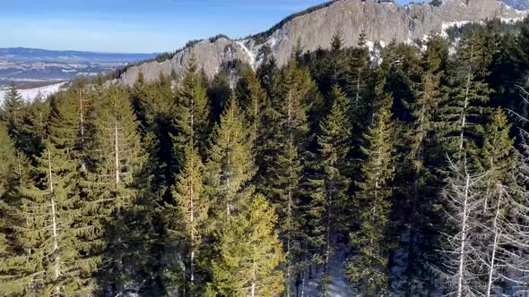 Mountain Peals and Forest Trees in the Aerial Sliding Shot