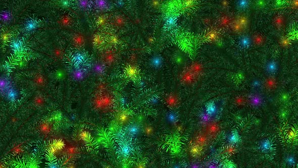 Christmas Fir Tree Background  alt