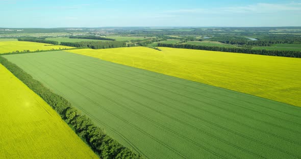 View From the Height of the Agricultural Field