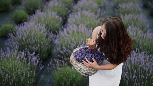Happy Brunette Girl in a Lavender Field in a Light Summer Dress Holds a Basket of Lavender and alt