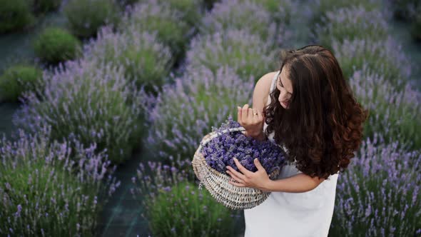 Happy Brunette Girl in a Lavender Field in a Light Summer Dress Holds a Basket of Lavender and