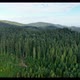 Aerial view of Green coniferous forest on summer day. Non-urban panoramic landscape - VideoHive Item for Sale