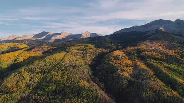 Aspens turning on Kebler Pass, Colorado alt