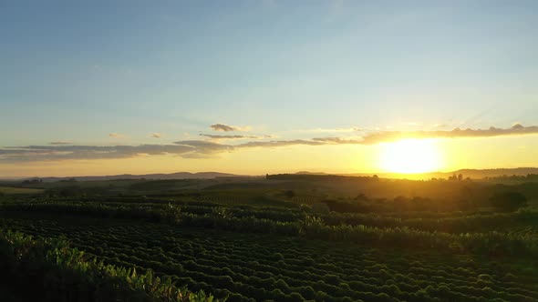 Sunset rural landscape aerial view. Nature scenery alt