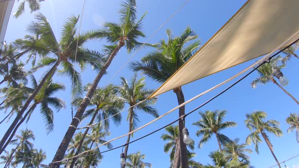 Shade sails and palm trees provide shade in Maui, Hawaii. alt