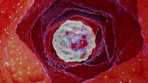 Animated Basophil type Leukocyte cell, white blood cells, 3d  render alt