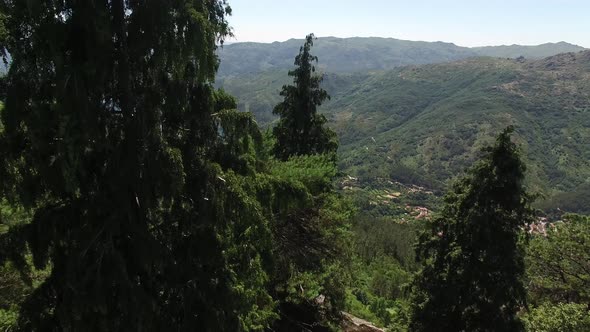 Young Couple Enjoying Beautiful Nature alt