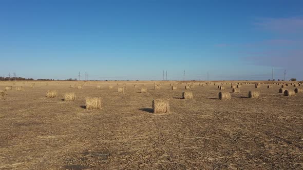 round bales of hay in the field alt
