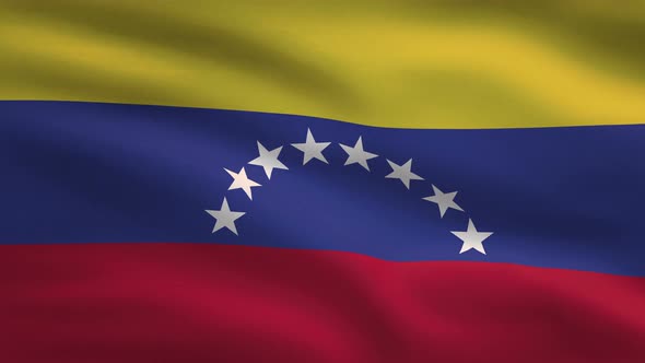 Venezuela Windy Flag Background 4K alt