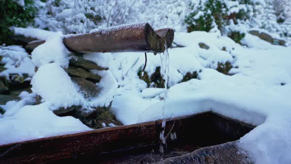 Man Drink Water From a Small Spring with Clear Clear Water in the Forest in the Carpathians alt