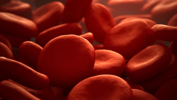 Close up of the red blood cells in the artery. Life in the blood vessel. alt