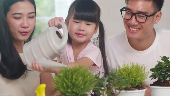 Asian family dad, mom and daughter watering plant in gardening near window at house. alt