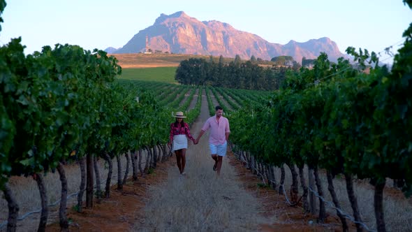 Vineyard Landscape at Sunset with Mountains in Stellenbosch Near Cape Town South Africa alt