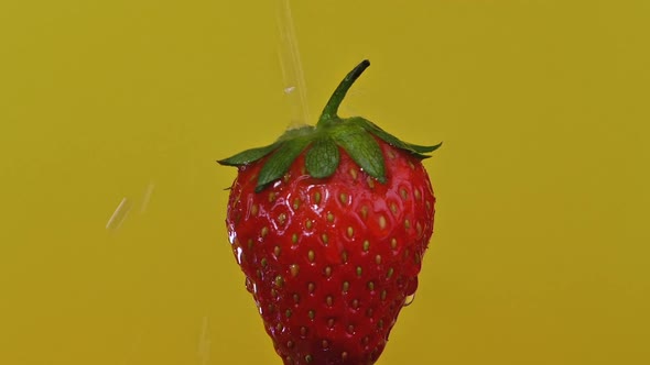 Close-up, Water Is Poured Onto a Strawberry. Stream of Water Falls on a Berry, a Juicy Fruit.