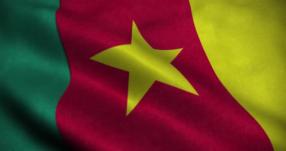 Cameroon waving Flag