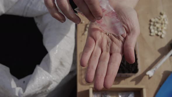 Dumping seeds in hand alt