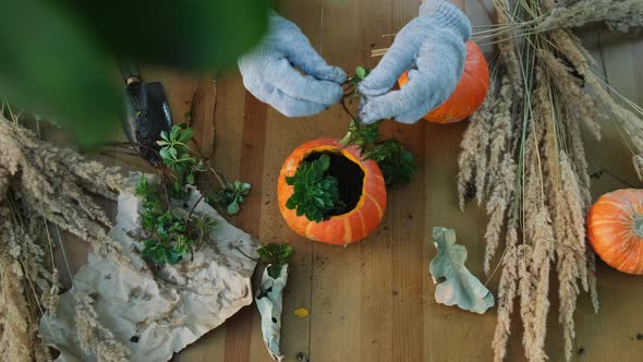 Autumnal DIY Garden Decoration alt