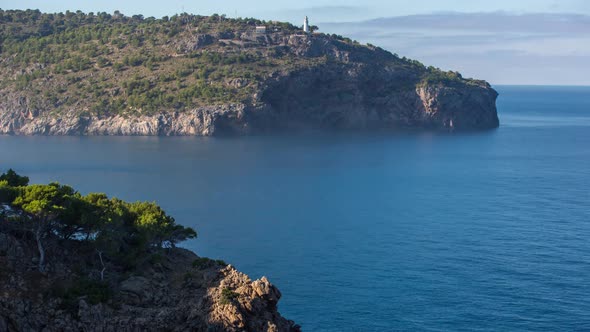 Tree fallen coast sea mallorca water alt