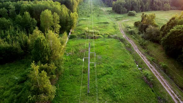 Electric Line in the Forest at Sunset the Concept of Electrification