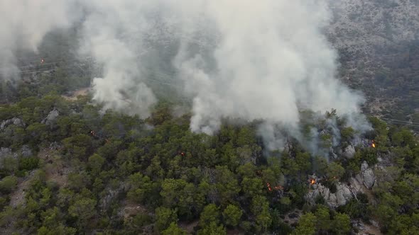 Aerial View of Forest Wildfire alt