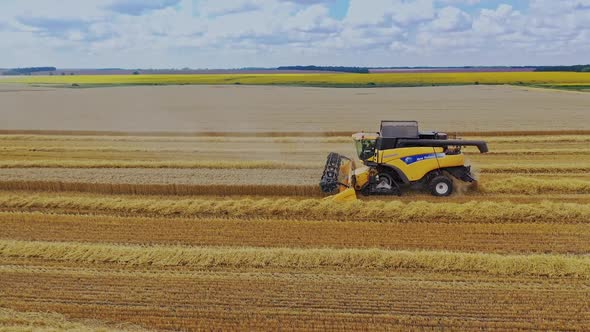 Combine Machine Harvesting Crop. Combine harvester working during harvest time on the farmer fields alt
