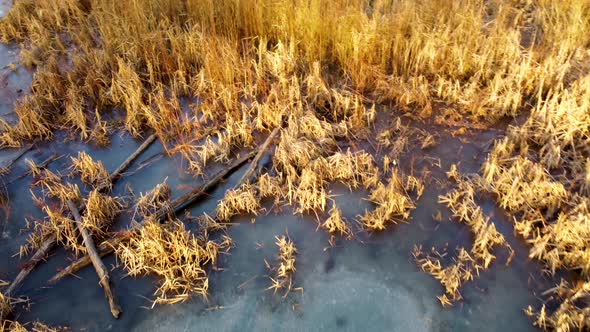 Aerial view on frozen wild lake in wintry forest