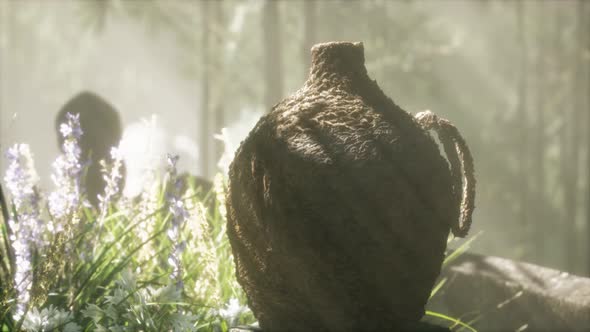 Japan Bamboo Forest and Green Meadow Grass with Natural Light alt