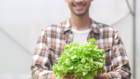 Asia guy farmer holding green oak vegetable looking at camera and smile in hydroponics.