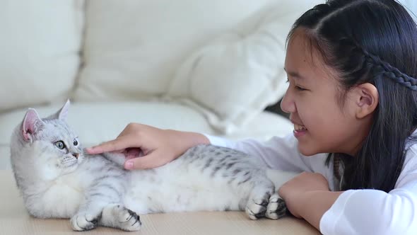 Cute Asian Child Playing With Persian Kitten Together alt