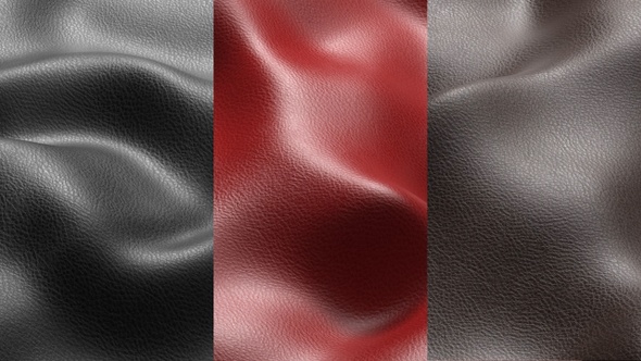 Leather Surface alt