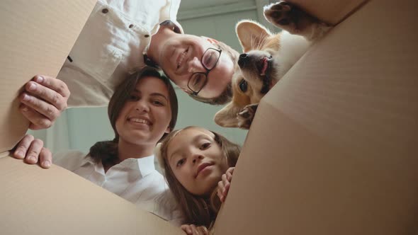 Bottom View. A Joyful Family With Their Cute Dog Lean Over a Box, Looking Inside and Smiling. alt