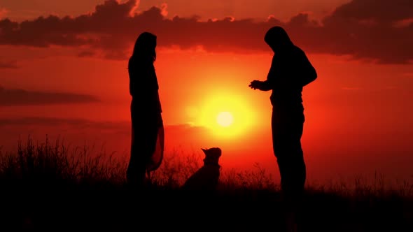 Owner Trains with Funny Dog Outside alt