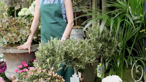 A Florist stands at the entrace to her shop and looks out over the the array of flowers proudly